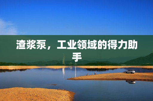 渣漿泵，工業領域的得力助手