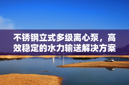 不銹鋼立式多級(jí)離心泵，高效穩(wěn)定的水力輸送解決方案