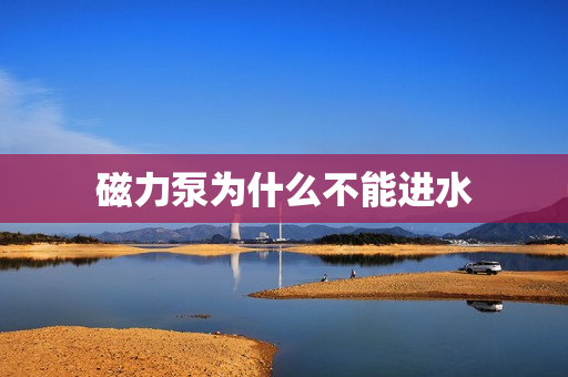 磁力泵為什么不能進水