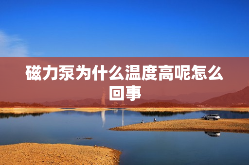 磁力泵為什么溫度高呢怎么回事