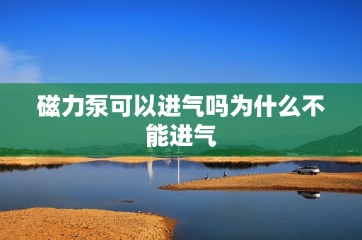 磁力泵可以進氣嗎為什么不能進氣