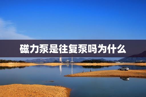 磁力泵是往復泵嗎為什么