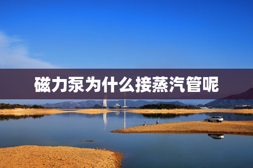 磁力泵為什么接蒸汽管呢 磁力泵為什么接蒸汽管呢