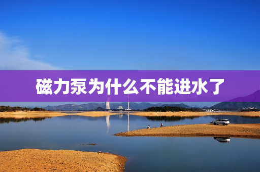 磁力泵為什么不能進水了