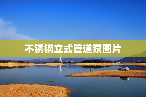 不銹鋼立式管道泵圖片