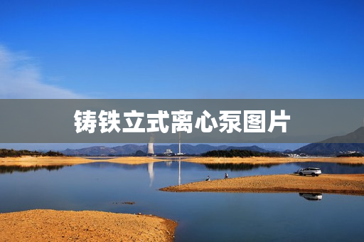 鑄鐵立式離心泵圖片