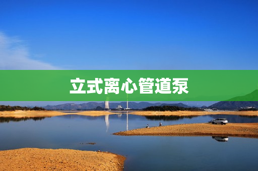 立式離心管道泵