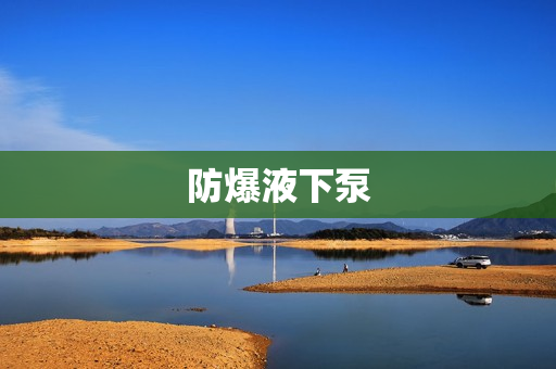 防爆液下泵