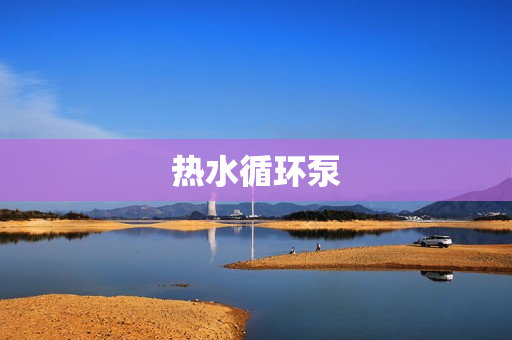 熱水循環泵