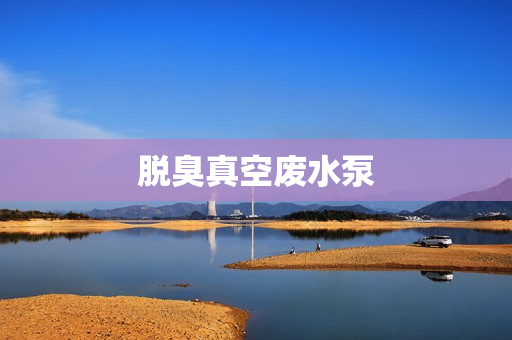 脫臭真空廢水泵