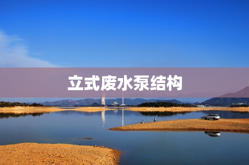 立式廢水泵結構