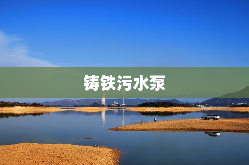 鑄鐵污水泵