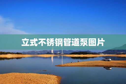 立式不銹鋼管道泵圖片
