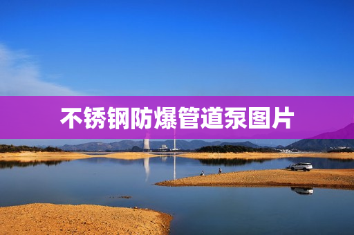 不銹鋼防爆管道泵圖片
