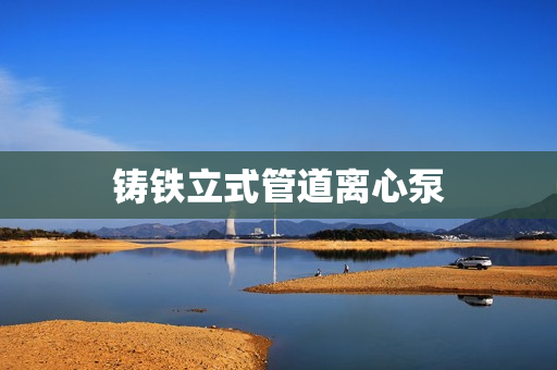 鑄鐵立式管道離心泵
