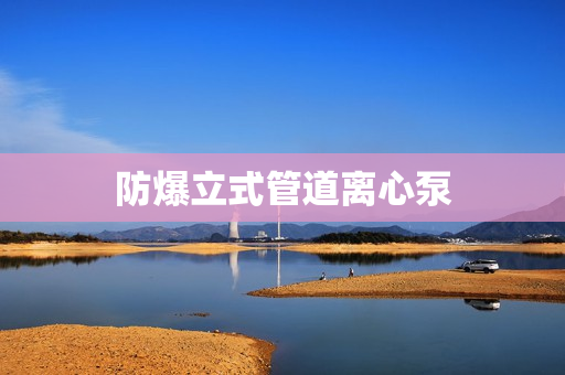 防爆立式管道離心泵