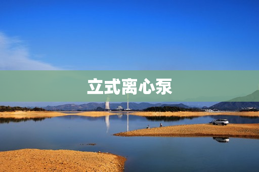 立式離心泵