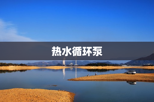 熱水循環(huán)泵