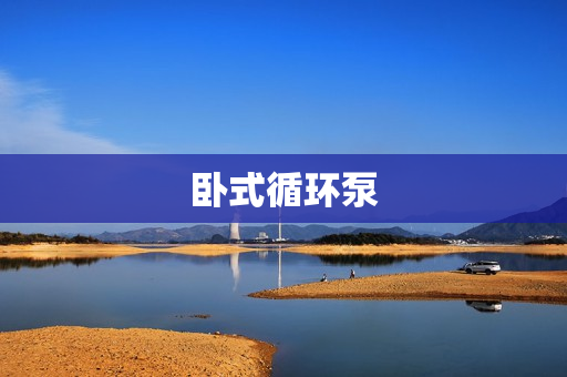 臥式循環(huán)泵