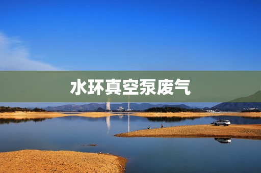 水環(huán)真空泵廢氣 水環(huán)真空泵廢氣
