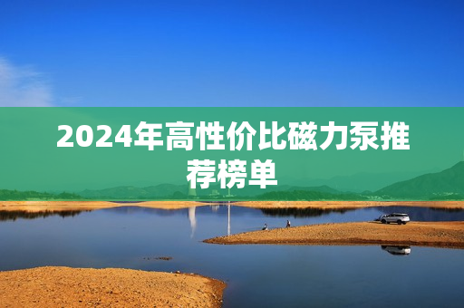 2024年高性價比磁力泵推薦榜單
