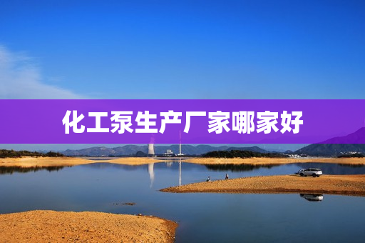 化工泵生產(chǎn)廠家哪家好 化工泵生產(chǎn)廠家哪家好
