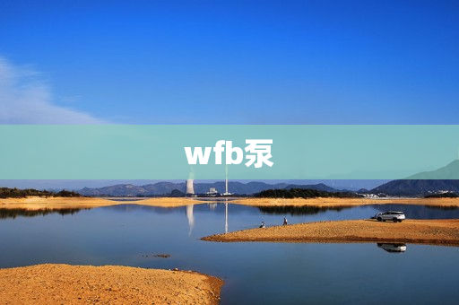 wfb泵