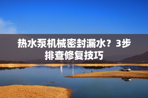 熱水泵機械密封漏水？3步排查修復技巧