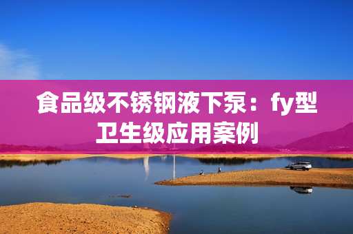 食品級(jí)不銹鋼液下泵：fy型衛(wèi)生級(jí)應(yīng)用案例
