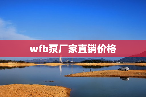 wfb泵廠家直銷價格