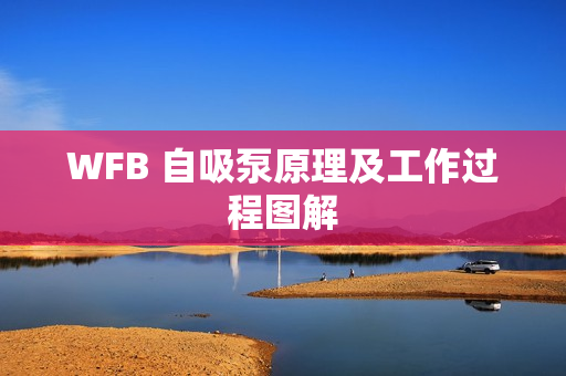WFB 自吸泵原理及工作過程圖解