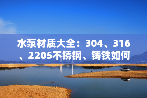 水泵材質大全：304、316、2205不銹鋼、鑄鐵如何選？