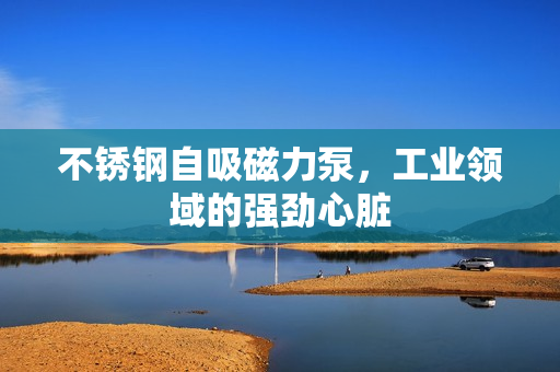 不銹鋼自吸磁力泵，工業(yè)領(lǐng)域的強勁心臟