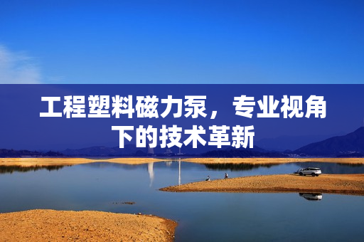 工程塑料磁力泵，專業視角下的技術革新