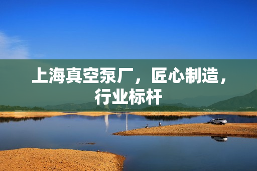 上海真空泵廠，匠心制造，行業標桿