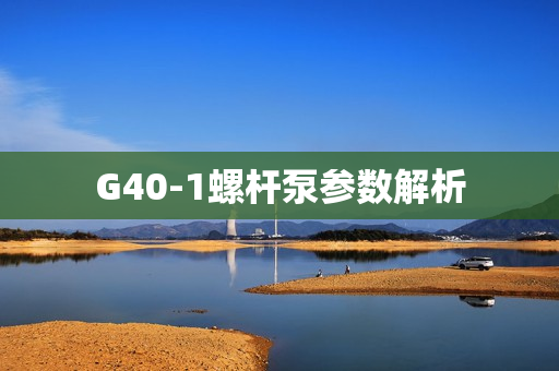 G40-1螺桿泵參數(shù)解析