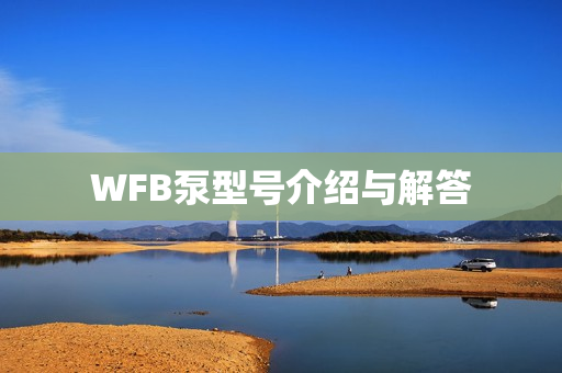 WFB泵型號介紹與解答