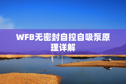 WFB無密封自控自吸泵原理詳解