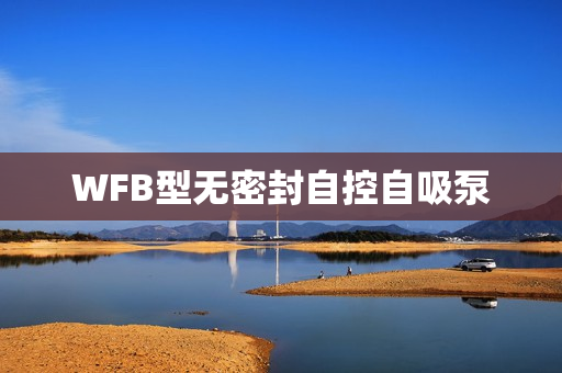 WFB型無密封自控自吸泵