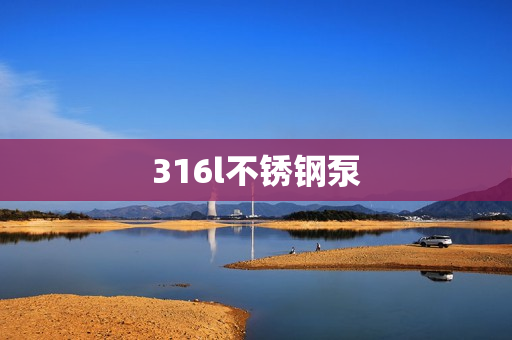 316l不銹鋼泵 316l不銹鋼泵