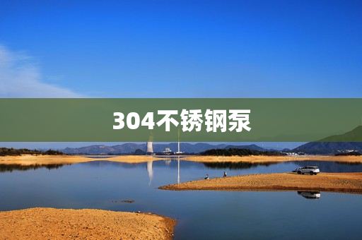 304不銹鋼泵