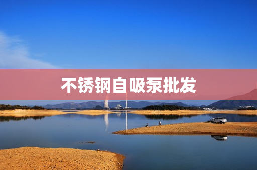 不銹鋼自吸泵批發