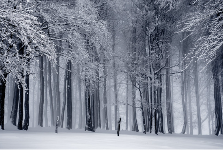 鋼鐵行業(yè)冷卻塔專用泵的應用特點與適配要求